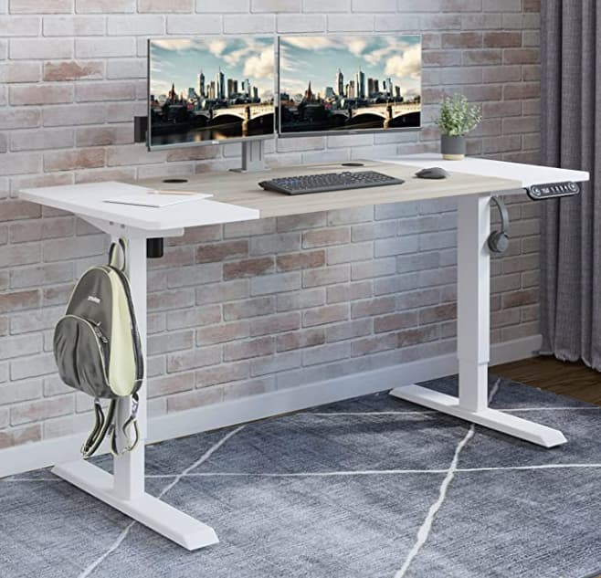 Radlove Electric Height Adjustable Standing Desk